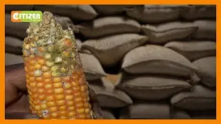 Cereal millers association raises alarm