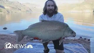 Unlocking the secrets of the Buffalo Fish in Arizona