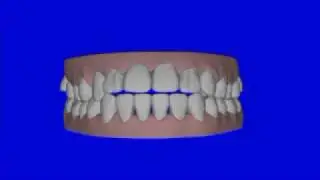 Hawks Prairie Orthodontics
