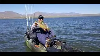 Roosevelt Lake Smallmouth Smash