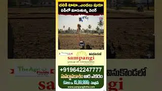 AP Weather: చలి 