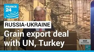 Ukraine, Russia sign grain export deal with UN, Turkey &bull; FRANCE 24 English