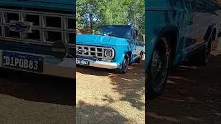 #chevrolet #veraneio #trucks #carrosantigos