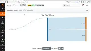 An Overview of ntopng Community