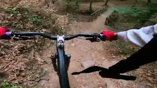 Back on the Trails | Hungary MTB 🇭🇺