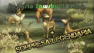 [Mini - Reparto] SAWSBUCK SHINY 6IV's - 4 estaciones || PKM USUM && PKM SM