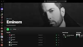 How To Not Record Spotify In OBS