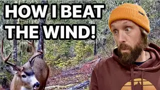 How To Hunt The Wind For Blacktail Deer