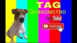Tag знакомство|Frenki Star ⭐️💕