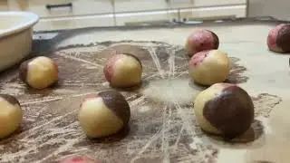 Savoy Truffle, project