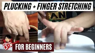 Guitar Finger Stretch and Plucking Exercises for beginners