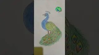cute peacock 🦚 drawing #deepa