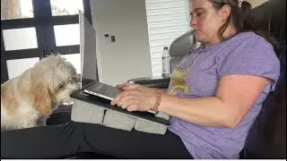 Is a LapDesk Worth it? | Amazon Finds | Christmas Gift Idea