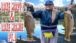 PT 1 | FAVORITE SPOT | LAKE MARY | LAKE MAMIE | MAMMOTH LAKES FISHING