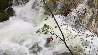 Austria, Abtenau, Fischbach, Eglsee, Абтенау, прогулки - ручей Фишбах и Эгльзее, часть 4, 04.10.2024