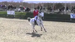 Alexander Bontemps and Katie Riddle - Thermal 2014 Wk 3 - $25,000 SmartPak Grand Prix
