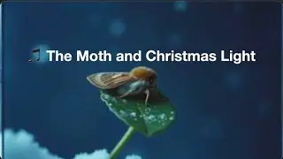 🎵 The Moth and Christmas Light   HD 1080p