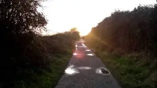 Walks with my son and a few bits and bobs !