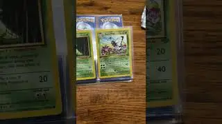 Set reveal! First edition!