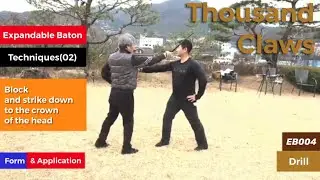 Expandable Baton Techniques(02)-2: Block and strike down to the crown of the head.  [Thousand Claws]
