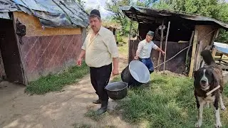 OM GOSPODAR,ARE O STANA TRADITIONALA.DOMNUL CORNEL NE ARATA UNDE TINE BRANZA.