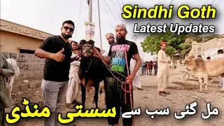 Mil Gai Karachi Ki Sub se Sasti Mandi Sindhi Goth Latest Updates | ‎‎@Shah_Times Chalo Phir