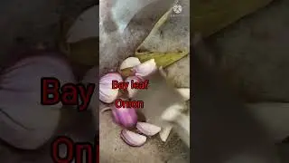 You tube shorts vedio// Masaledar Broccoli Curry// Shorts vedio