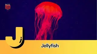🎶 ABCs of the Deep Blue Sea | Fun Ocean Animal Song! 🐋🐡| UZR Nursery Rhymes for Kids
