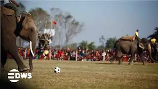 MUST WATCH: Chitwan Elephant Festival Sees Elephants Play Football for the Crowd | DWS News | AD14