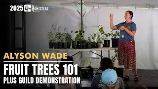 Элисон Уэйд | Fruit Trees 101 + Guild Demo