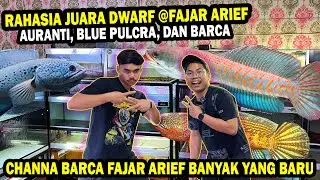 BONGKAR!! RAHASIA JUARA CHANNA PULCRA, AURANTI, DAN BARCA @FAJAR ARIEF