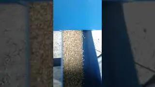 Seleccionadora de trigo