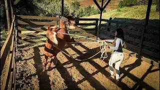 LEVEI UM SUSTO AQUI NA CH&Aacute;CARA - DOMA RACIONAL CAVALO XUCRO - &Eacute;GUA CRIOULA #domaracional #cavalo