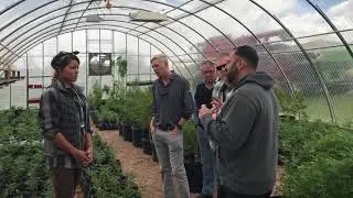 Warfighter Hemp Harvest
