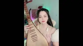 Thất t&igrave;nh - Trịnh Đ&igrave;nh Quang -  ver Tỳ b&agrave; 💔 #nhaccudantoc #tyba #thattinh