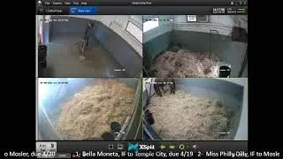 4/9/22 Daytime Stream