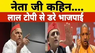 | UPChunav || UPElection ||Mulayama Singh Yadav || Akhilesh Yadav || Yogi Sarkar | UPOpinionPoll |