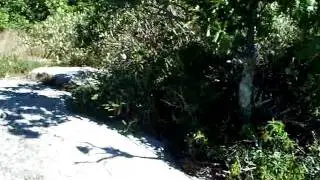Spy Rock