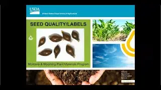 Seed Quality and Seed Analysis Reports
