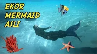 COBAIN JADI MERMAID ASLI 😱😍 kereenn!!