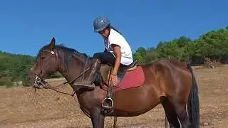 Rutas a caballo Madrid