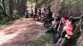 Overgrown Logging Hill hard enduro gasgas ec250