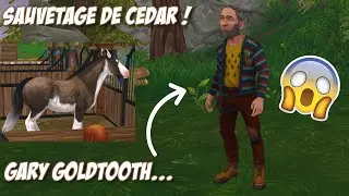 [SSO] Sauvetage de Cedar & Refonte de Gary Goldtooth ! 😱