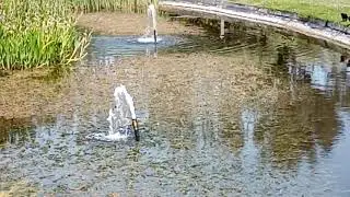 Fountains Outside Ocean Hotel at Butlin's Bognor Regis