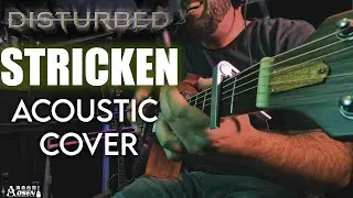Disturbed - Stricken Acoustic Guitar Vocal Cover