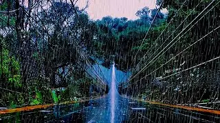 Zen Rain Sounds for Meditation | Pure Water Sounds | No Thunder, No Lightning