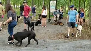 Real World Pack Walk and Group Training!