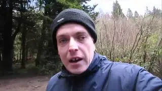 A Visit To Penllergare Valley Woods In Swansea