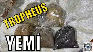 TROPHEUS RAİNBOWLAR İ&Ccedil;İN 6 &Ccedil;EŞİT YEM ALDIM - ciklet - balık yemi 