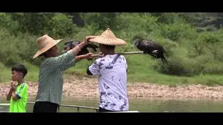漓江游船 :  Li Jiang ( Li river ).